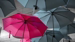 The Post Digital Transformation Age: Standing Out From Sameness