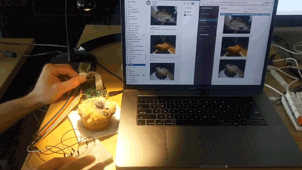 taking pictures of a muffin and watching it post to the application