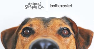 Behind the Scenes: How Two North Texas Companies Are Reshaping the Pet Industry